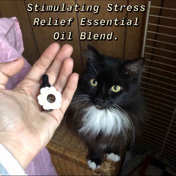Stimulating Stress Relief Essential Oil Blend - Picture 2 of 13